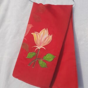 Red Organza Saree Hand Painted